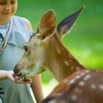 33+ Responses to “Why Do You Care”