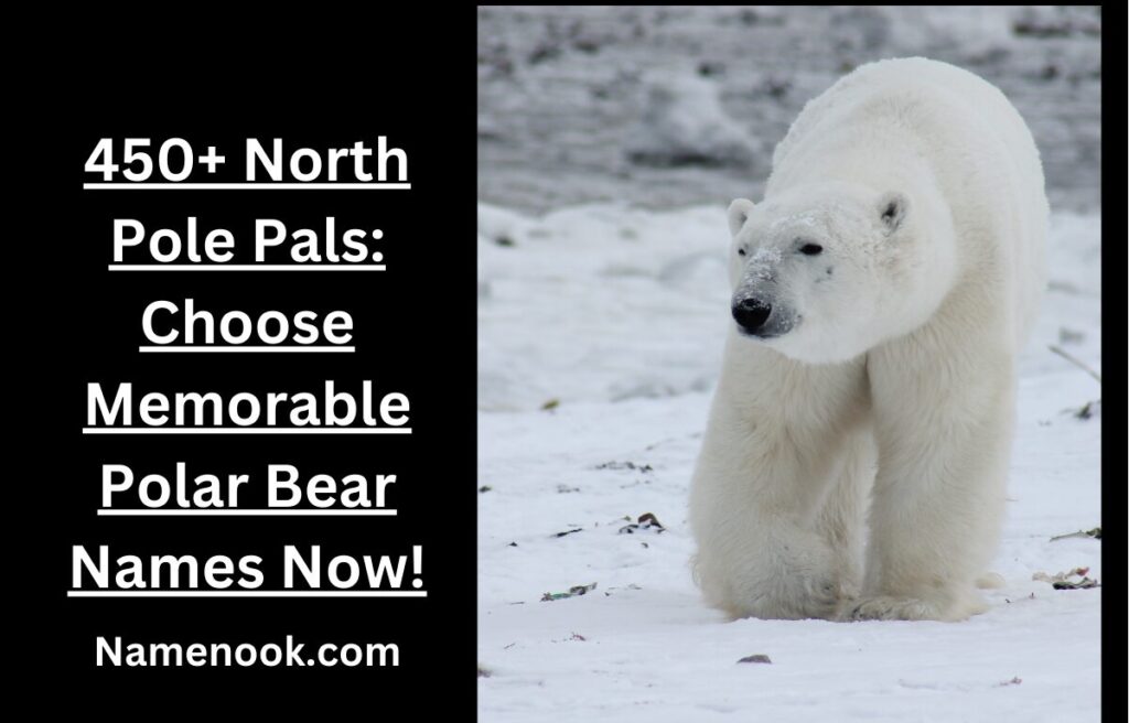 450+ North Pole Pals: Choose Memorable Polar Bear Names Now!