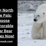 450+ North Pole Pals: Choose Memorable Polar Bear Names Now!