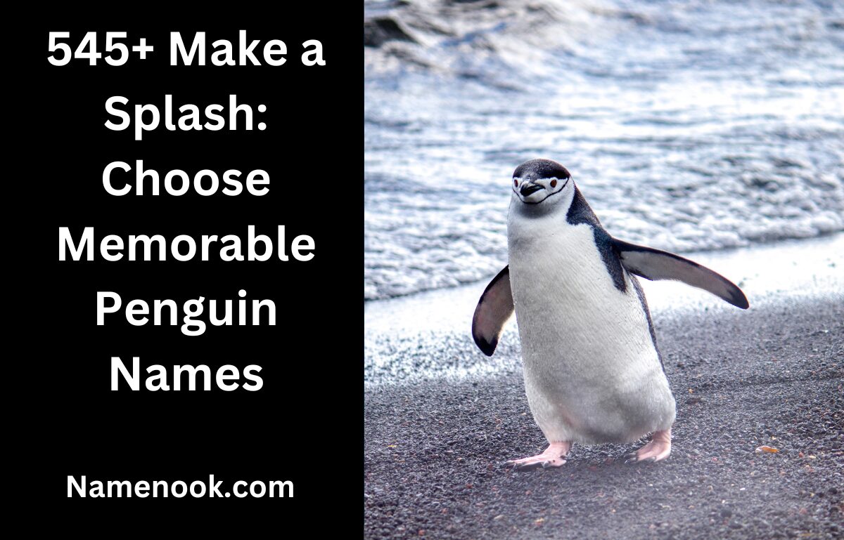 545+ Make a Splash: Choose Memorable Penguin Names