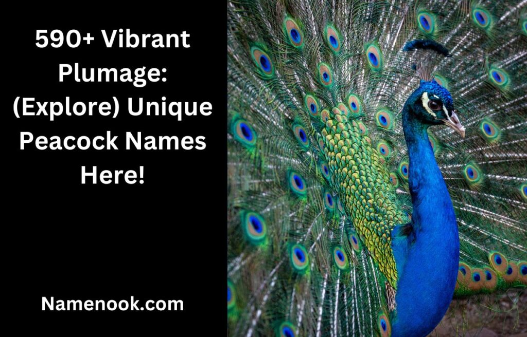 590+ Vibrant Plumage: (Explore) Unique Peacock Names Here!