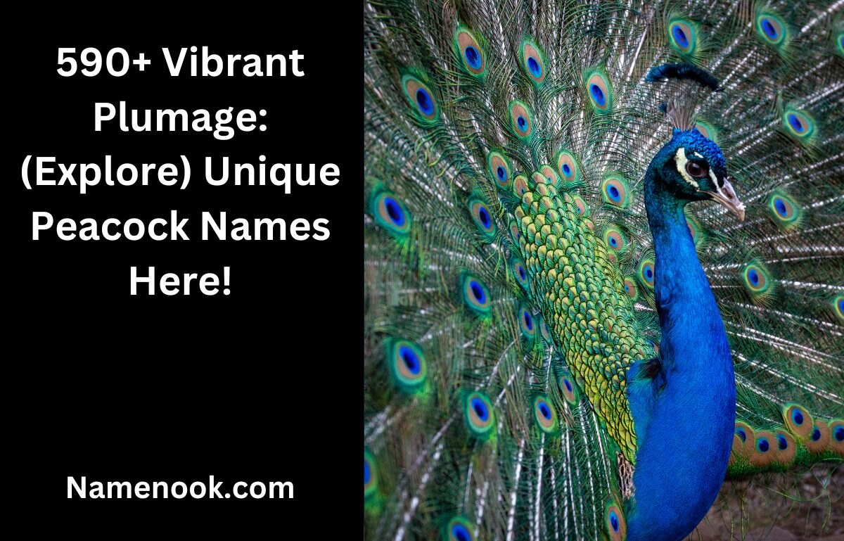 590+ Vibrant Plumage: (Explore) Unique Peacock Names Here!