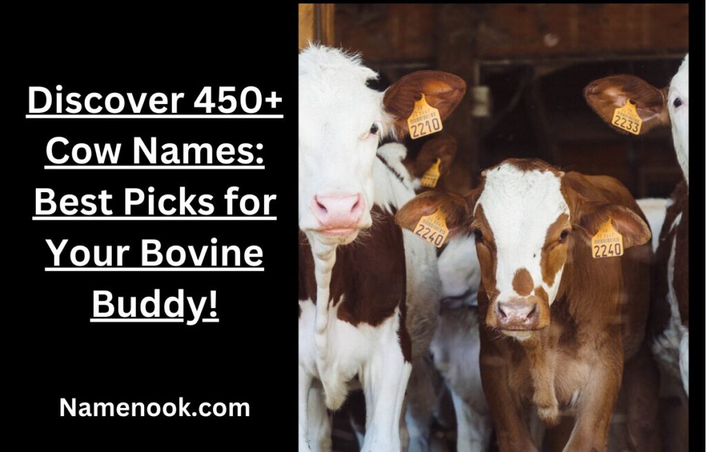 Discover 450+ Cow Names: Best Picks for Your Bovine Buddy!
