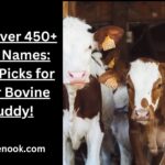 Discover 450+ Cow Names: Best Picks for Your Bovine Buddy!