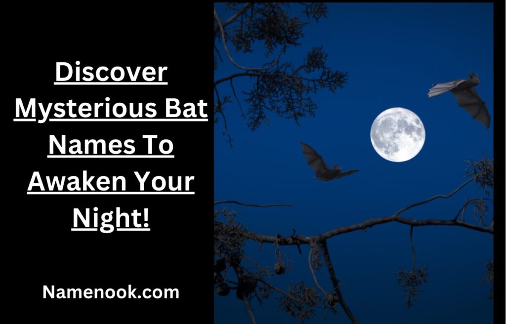 Discover Mysterious Bat Names To Awaken Your Night!