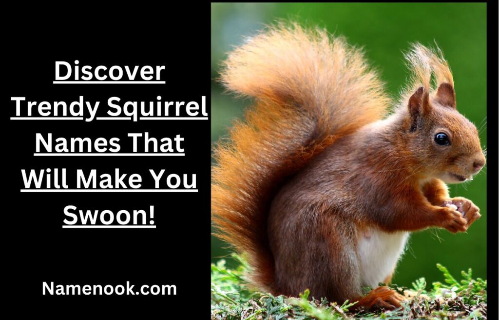 Discover Trendy Squirrel Names That Will Make You Swoon!