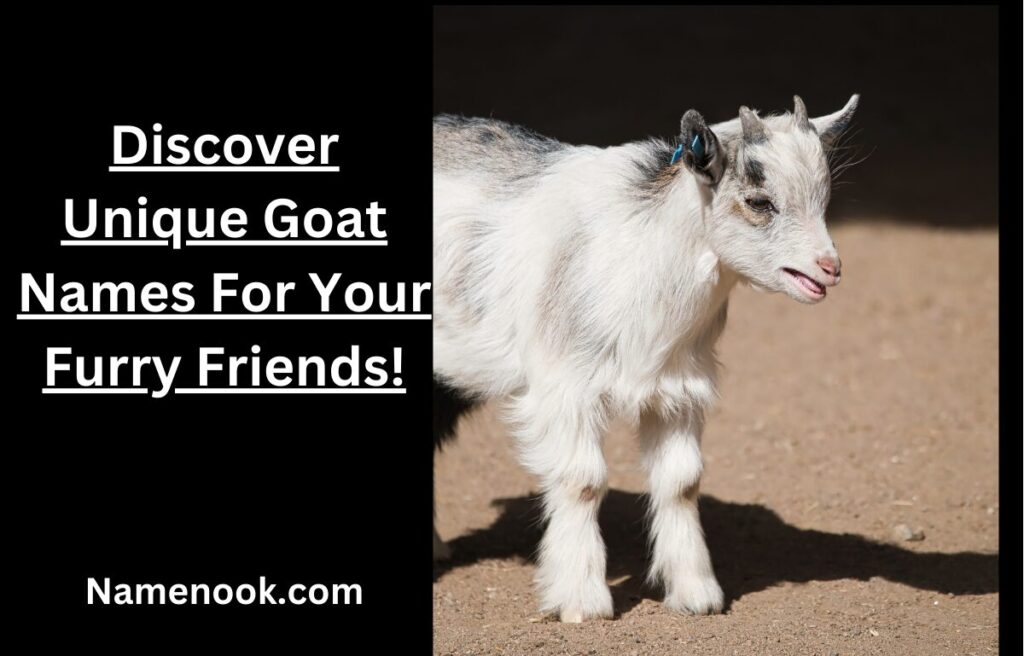 Discover Unique Goat Names For Your Furry Friends!