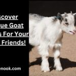 Discover Unique Goat Names For Your Furry Friends!