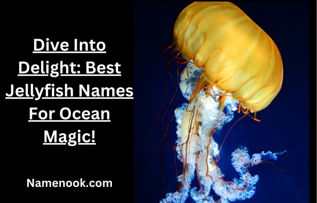 Dive Into Delight: Best Jellyfish Names For Ocean Magic!