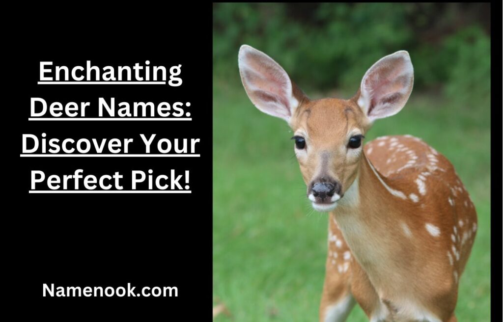 Enchanting Deer Names: Discover Your Perfect Pick!