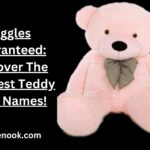 Giggles Guaranteed: Discover The Funniest Teddy Bear Names!