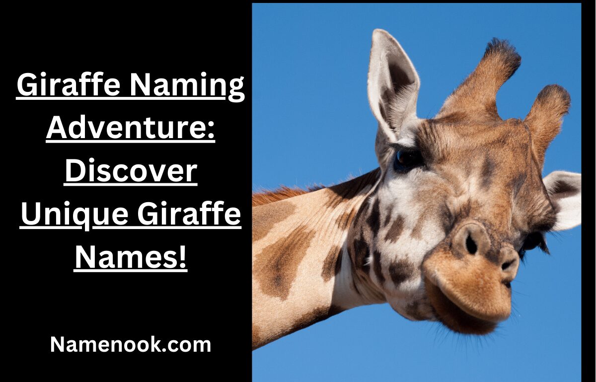Giraffe Naming Adventure: Discover Unique Giraffe Names!