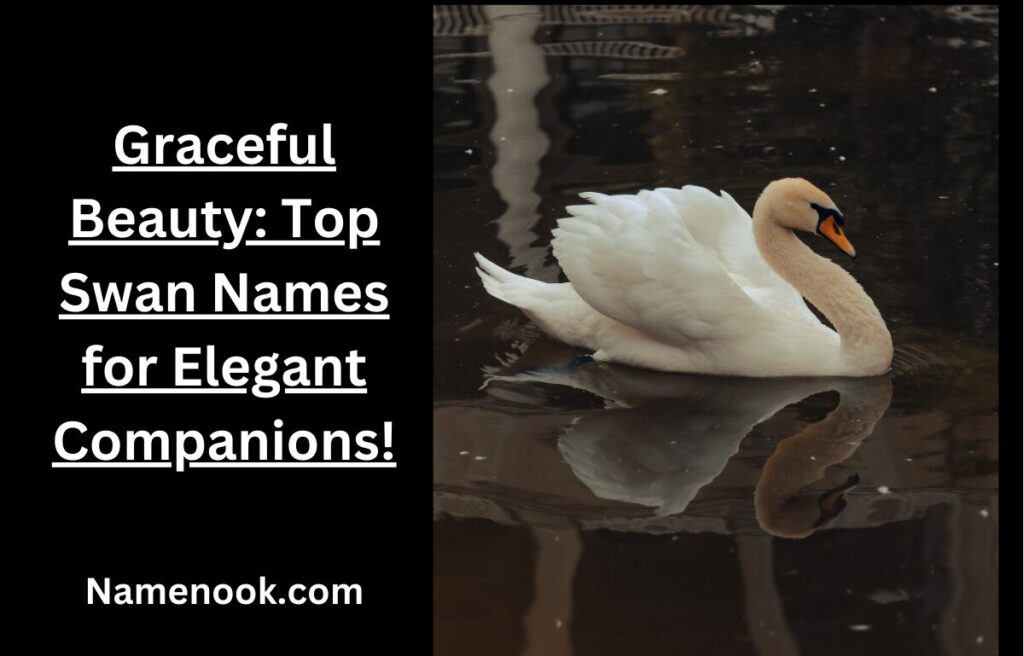 Graceful Beauty Top Swan Names for Elegant Companions!