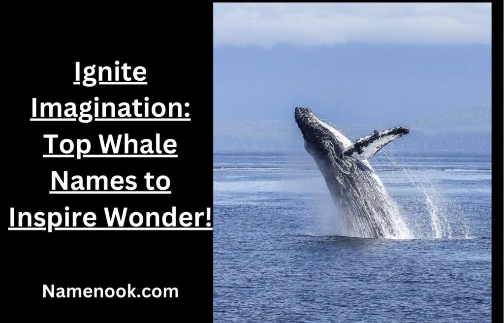 Ignite Imagination: Top Whale Names to Inspire Wonder!