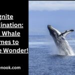 Ignite Imagination: Top Whale Names to Inspire Wonder!