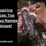 Ink-spiring Choices: Top Octopus Names to Amaze!