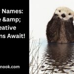 Otter Names: Cute & Creative Options Await!