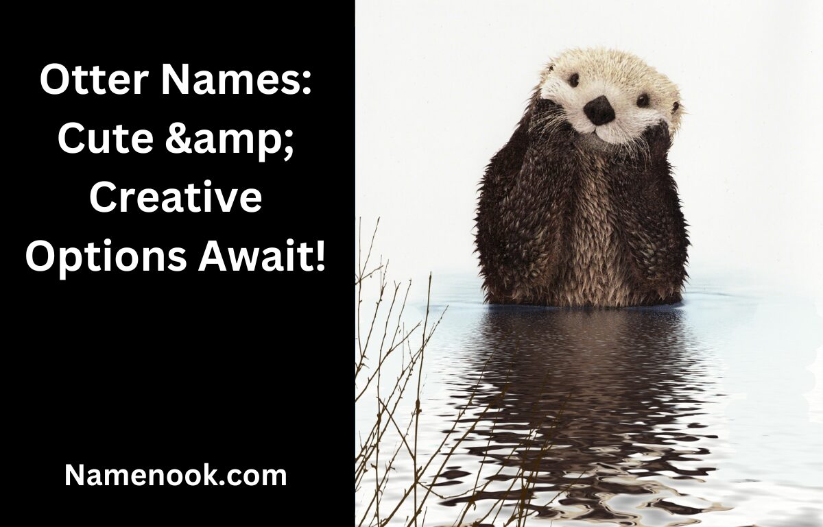 Otter Names: Cute & Creative Options Await!