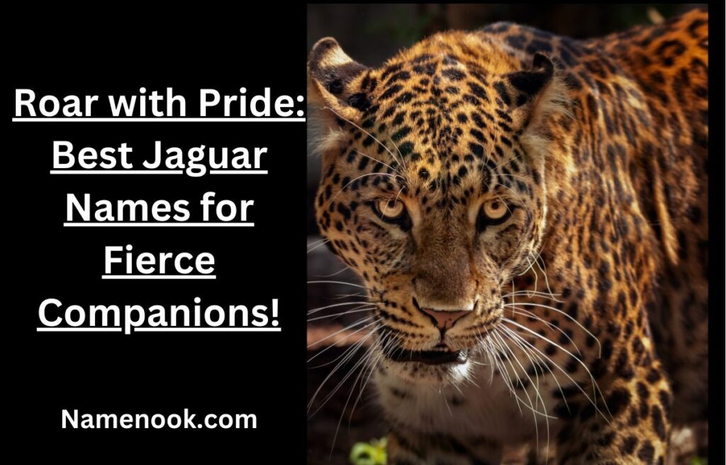 Roar with Pride: Best Jaguar Names for Fierce Companions!