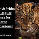 Roar with Pride: Best Jaguar Names for Fierce Companions!