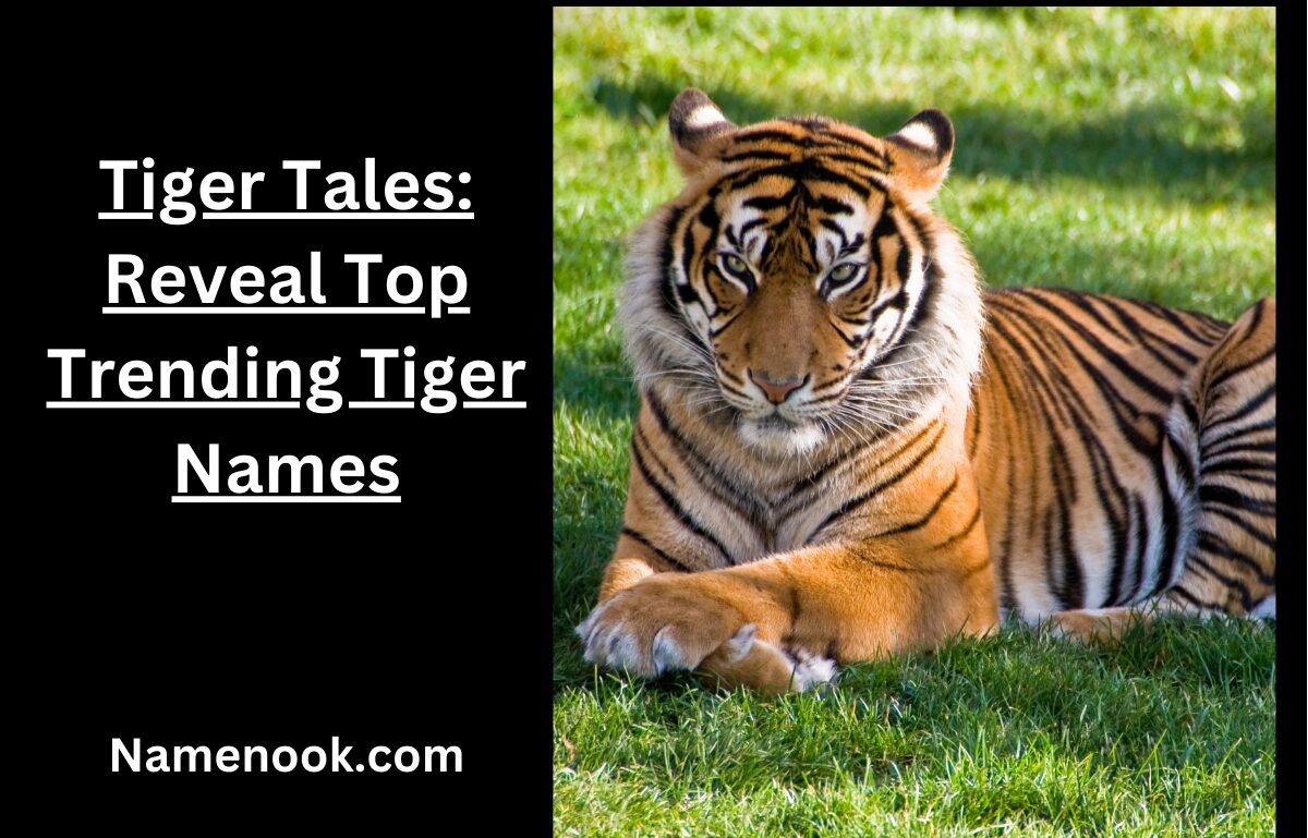 Tiger Tales: Reveal Top Trending Tiger Names