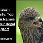 Unleash Majesty: Top Falcon Names For Your Regal Raptor!