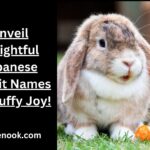 Unveil Delightful Japanese Rabbit Names for Fluffy Joy!