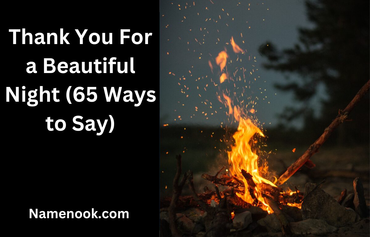 Thank You For a Beautiful Night (65 Ways to Say)