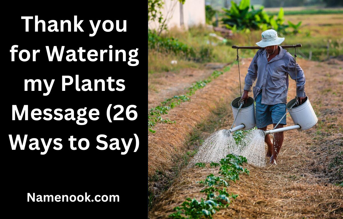 Thank you for Watering my Plants Message (26 Ways to Say)