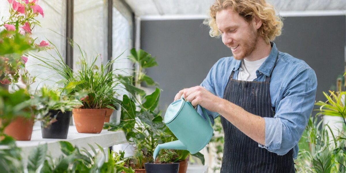 Thank you for Watering my Plants Message (26 Ways to Say)