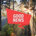 20 Ways “Thank you for A Good News” (Anyone will Appreciate)