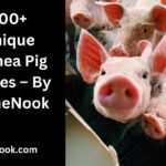 300+ Unique Guinea Pig Names – By NameNook