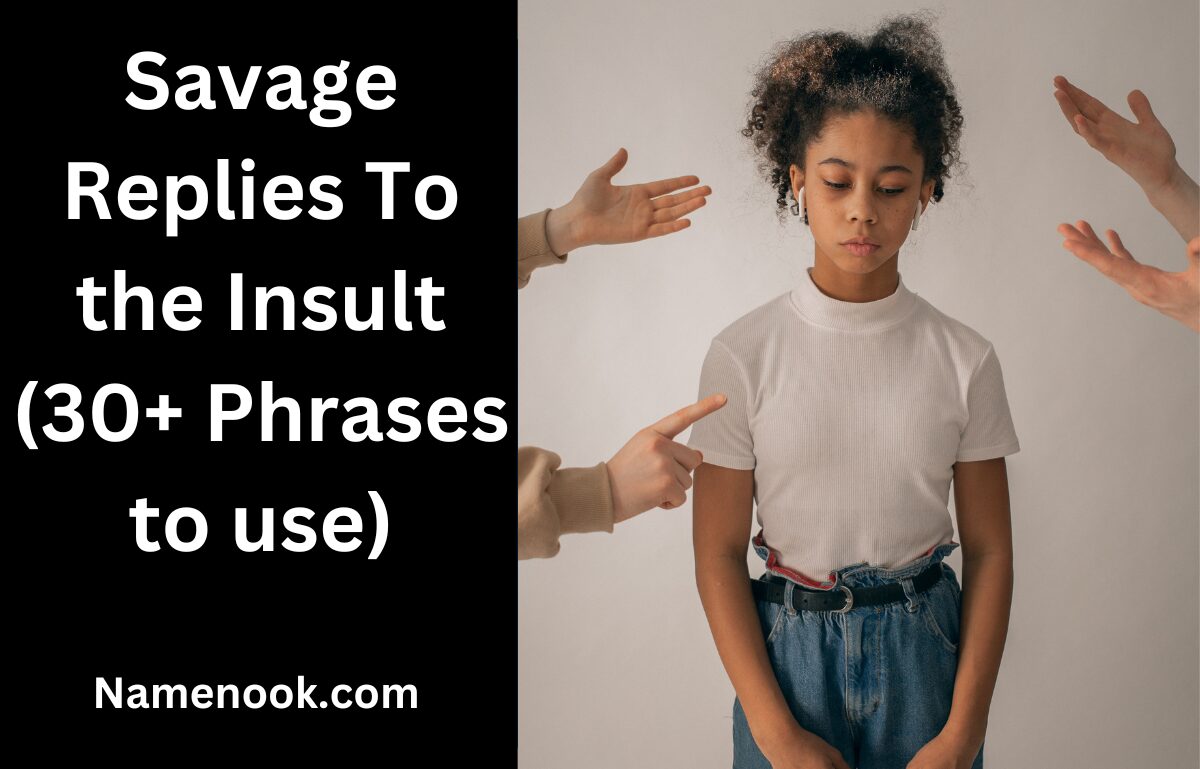 Savage Replies To the Insult (30+ Phrases to use)