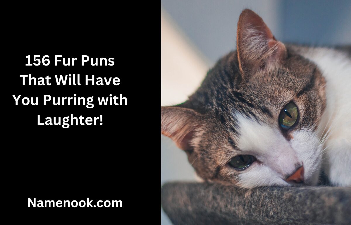 156 Fur Puns That Will Have You Purring with Laughter!