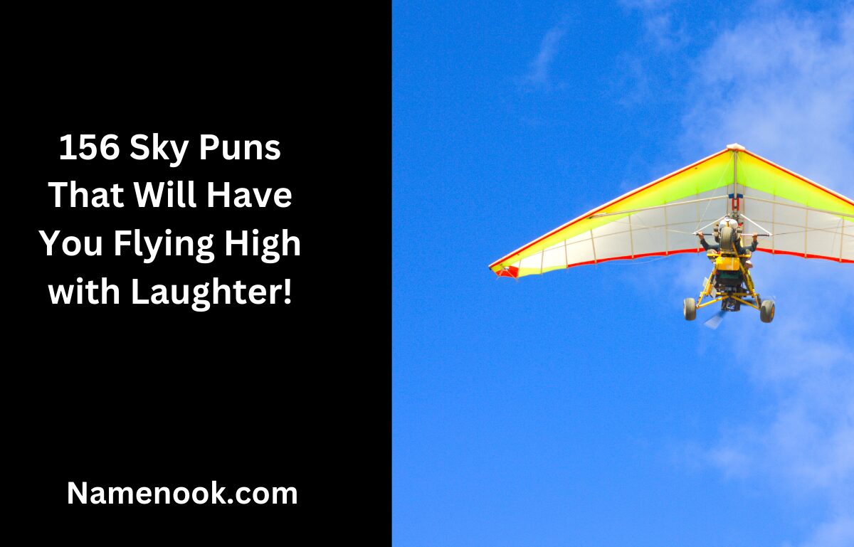 156 Sky Puns That Will Have You Flying High with Laughter!