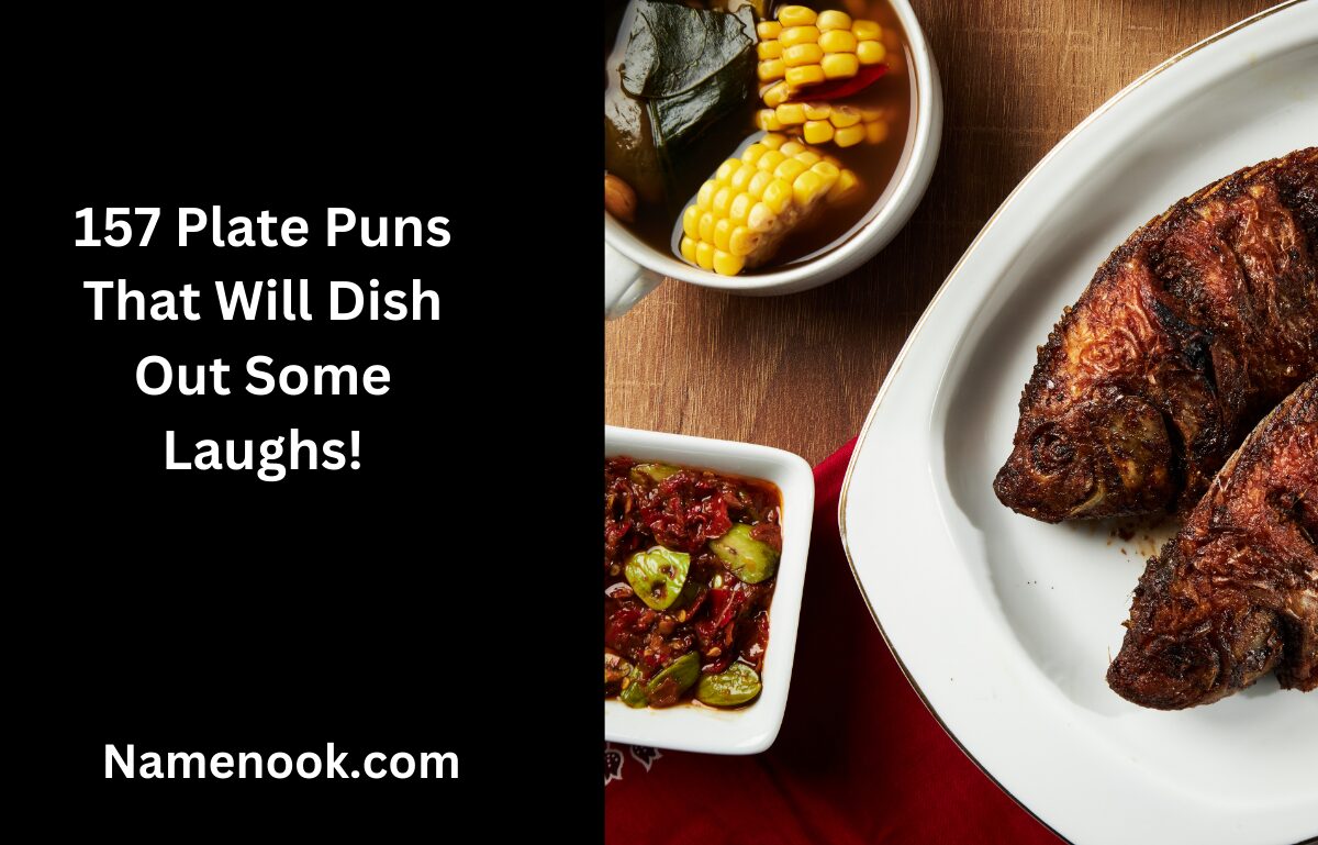 Top Best 157 Plate Puns That Will Dish Out Some Laughs!