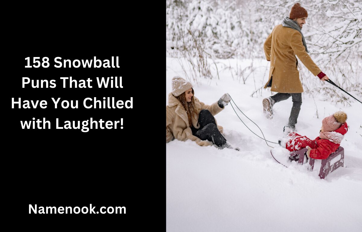 158 Snowball Puns That Will Have You Chilled with Laughter!