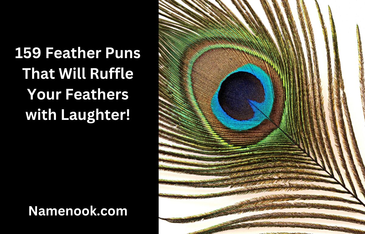 159 Feather Puns That Will Ruffle Your Feathers with Laughter!