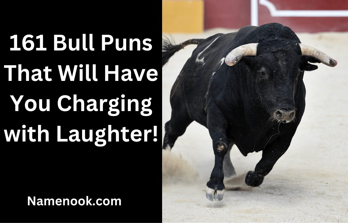 161 Bull Puns That Will Have You Charging with Laughter!