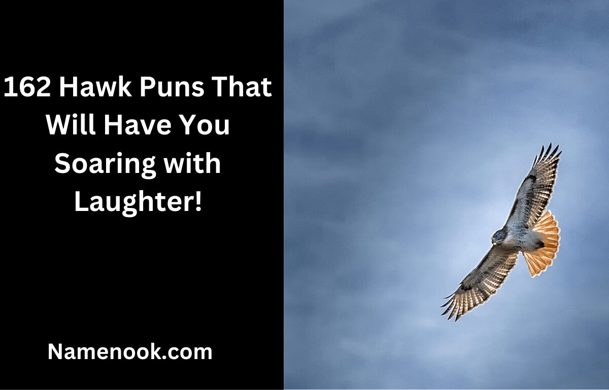 162 Hawk Puns That Will Have You Soaring with Laughter!