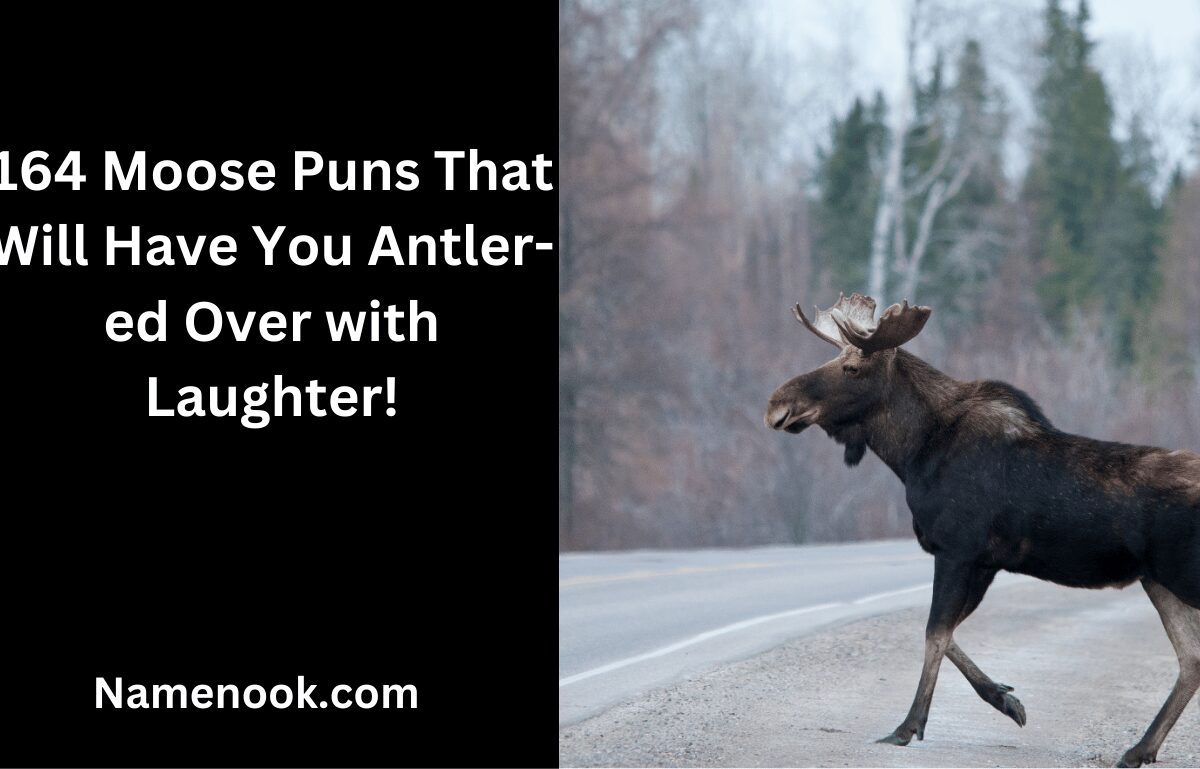 164 Moose Puns That Will Have You Antler-ed Over with Laughter!