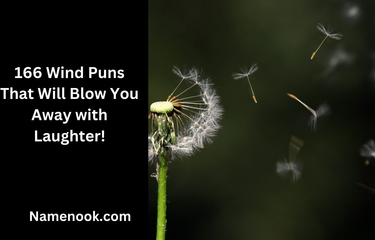 166 Wind Puns That Will Blow You Away with Laughter!