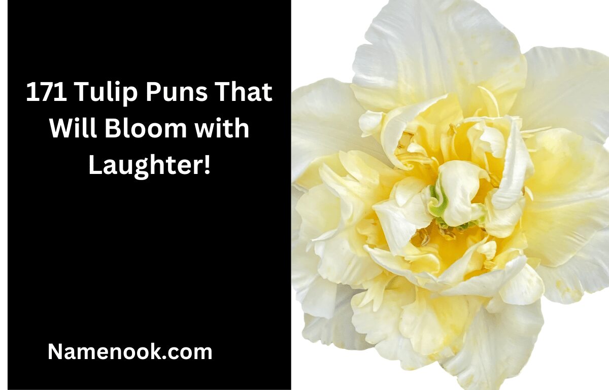 171 Tulip Puns That Will Bloom with Laughter!