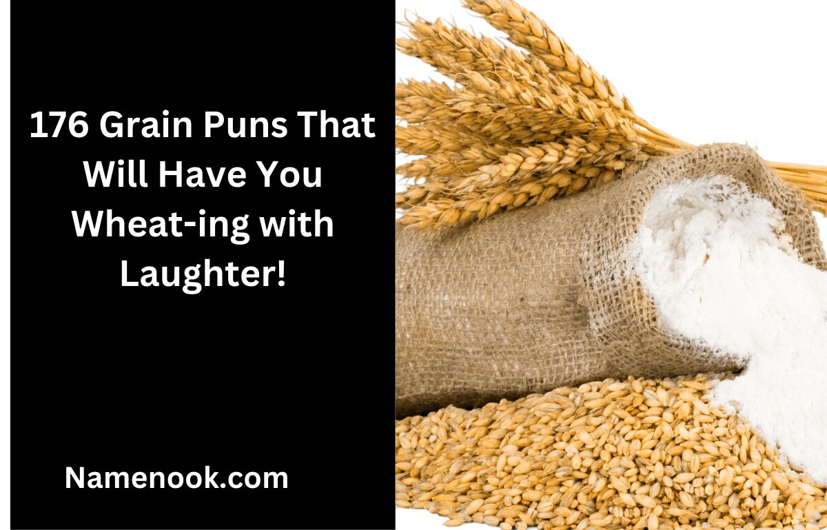 176 Grain Puns That Will Have You Wheat-ing with Laughter!