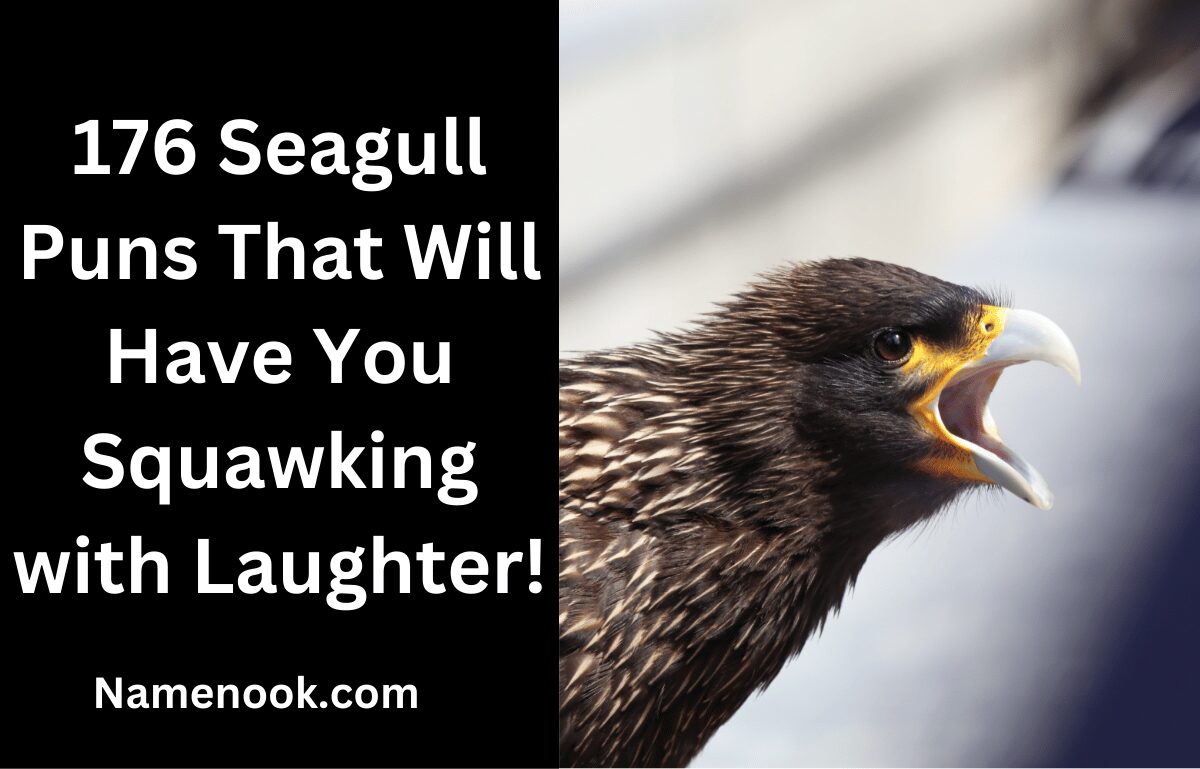 176 Seagull Puns That Will Have You Squawking with Laughter!