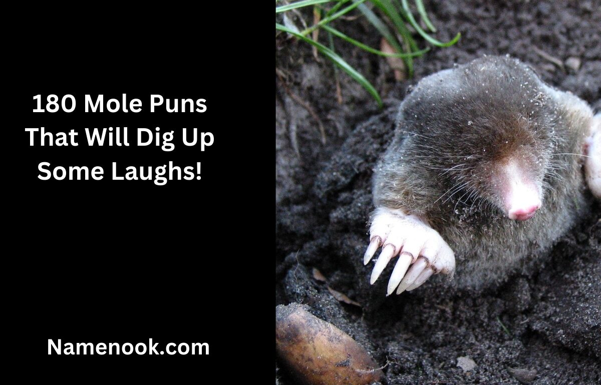 180 Mole Puns That Will Dig Up Some Laughs!