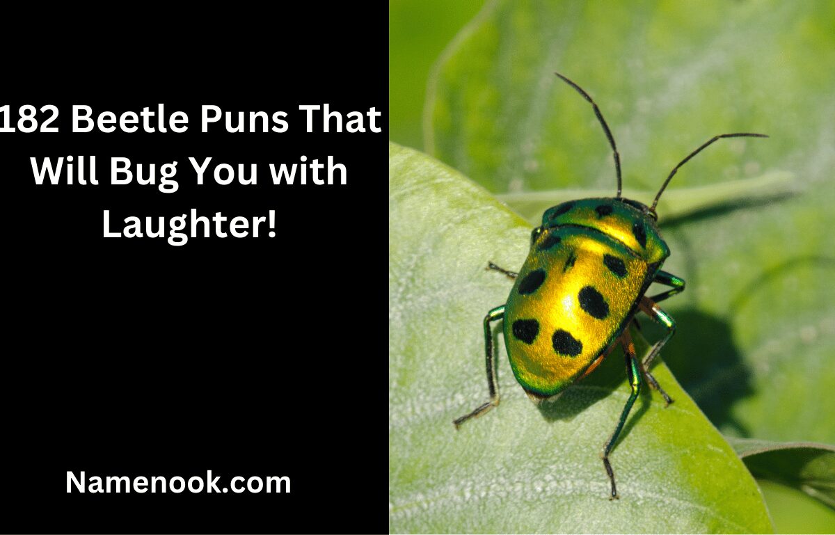 182 Beetle Puns That Will Bug You with Laughter!