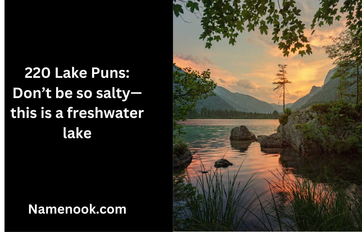 220 Lake Puns Don’t be so salty—this is a freshwater lake