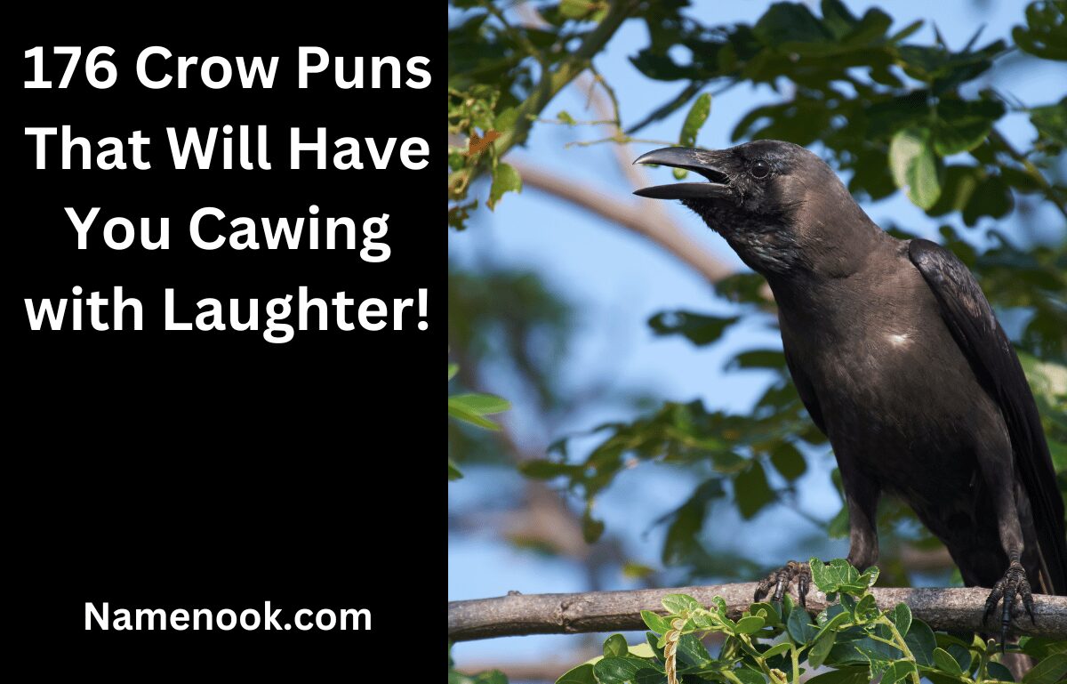 176 Crow Puns That Will Have You Cawing with Laughter!