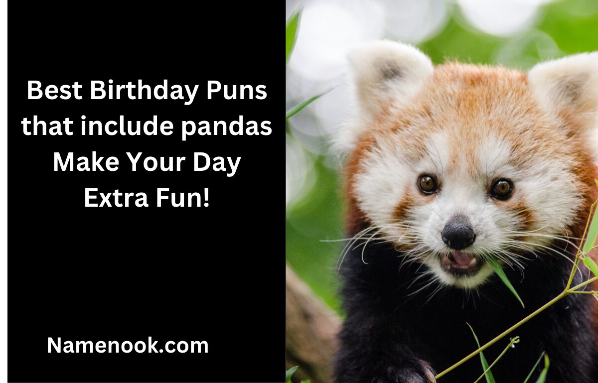 Best Birthday Puns that include pandas Make Your Day Extra Fun!